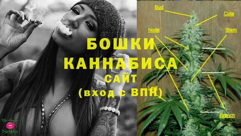 Конопля THC 21%  Духовщина 